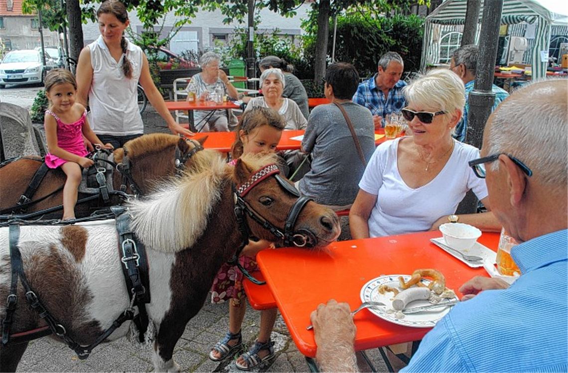 Festhalten am bewährten Konzept