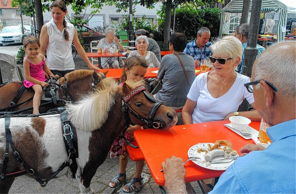 Festhalten am bewährten Konzept