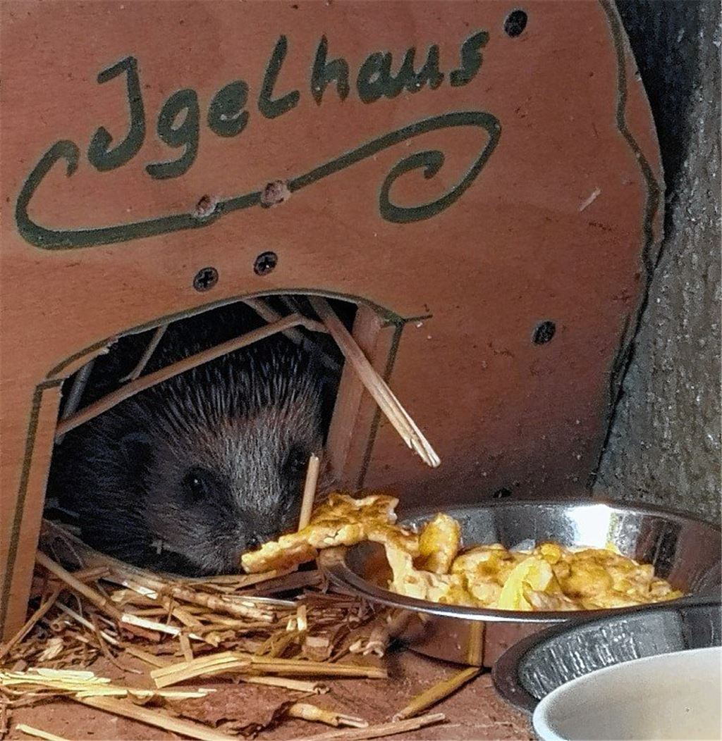 Frühlingsgefühle
