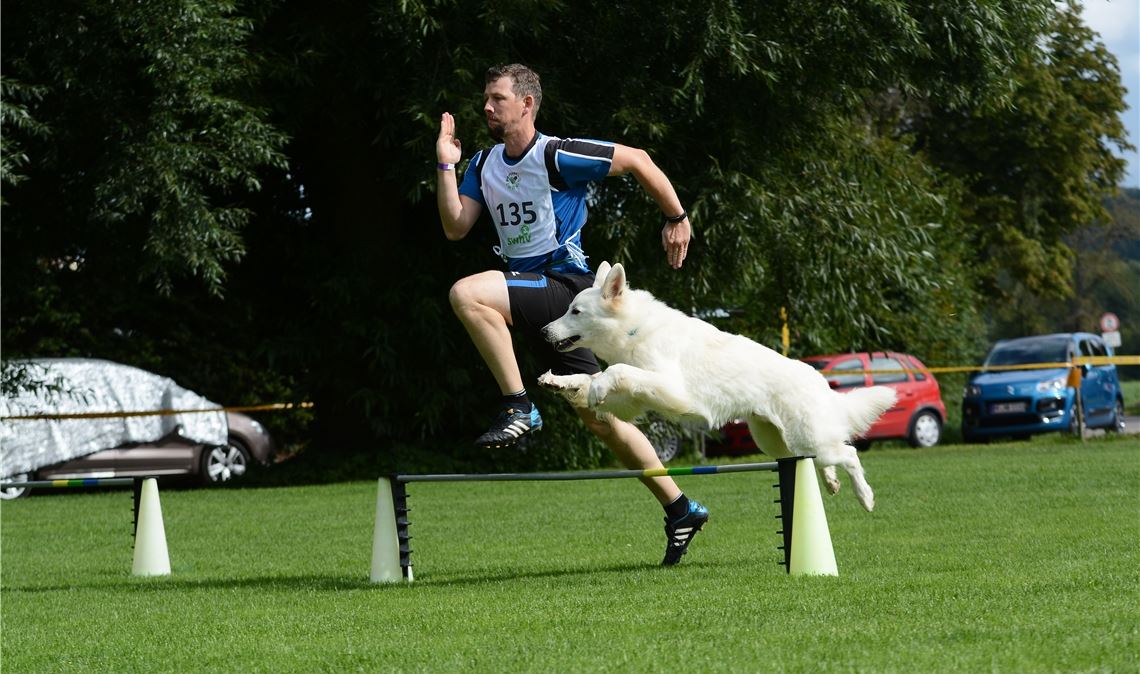Tierisches Spektakel auf der Anlage des Hundesportvereins (HSV) Mühlacker, der die Südwestdeutschen Meisterschaften ausrichtet und dabei selbst ordentlich abschneidet. Hier Matthias Ehrismann mit seinem Hund Chase beim Hürdenlauf, bei dem sich die beiden später über den zweiten Platz freuen.