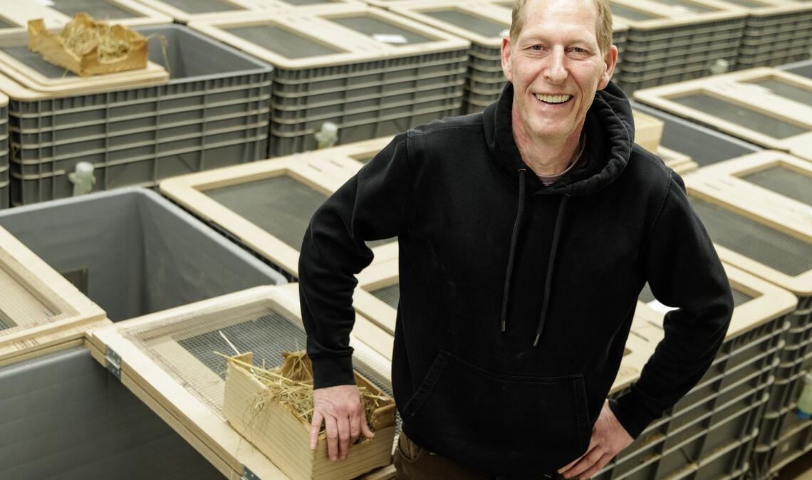 Tierpfleger Jörg Kritschker bringt die für die Verpaarung vorgesehenen Weibchen und Männchen zusammen.