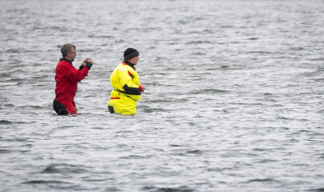 Till Backhaus läuft zum Buckelwal