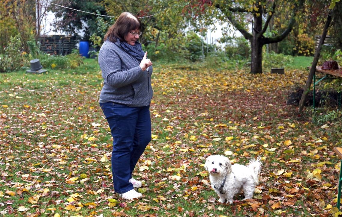 Tina Cernic sucht für sich und ihren kleinen Hund Feivel eine Wohnung. Dabei hat sie schon so einiges erlebt. Foto: Goertz