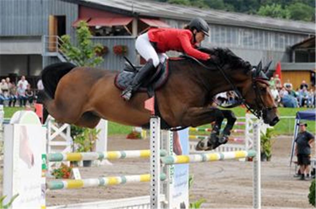 Tina Deuerer auf Quinot vom Reitclub Bretten war mit einem dritten Platz im Großen Preis der Sparkasse Pforzheim-Calw die beste Reitsportlerin der Region.