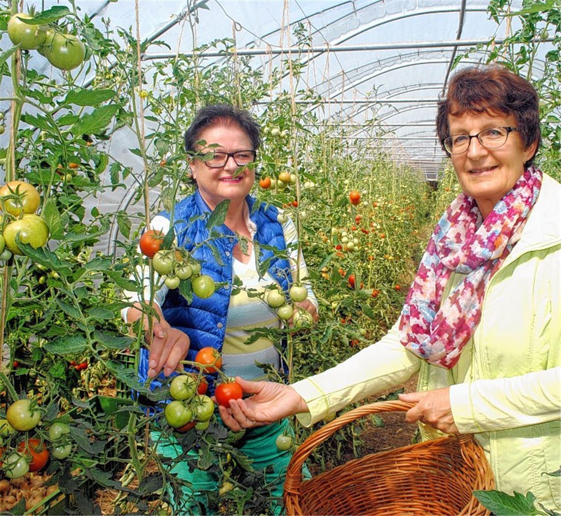 Gemeinsamer Einsatz trägt Früchte