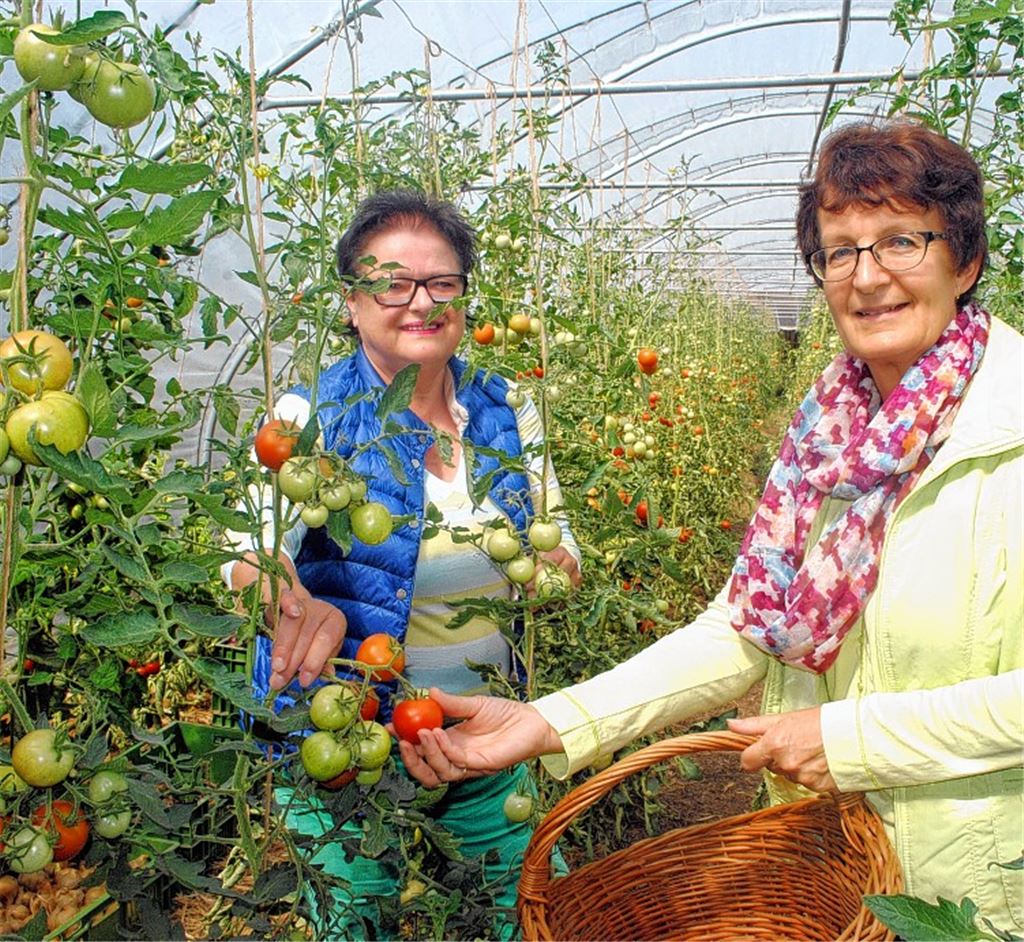 Gemeinsamer Einsatz trägt Früchte