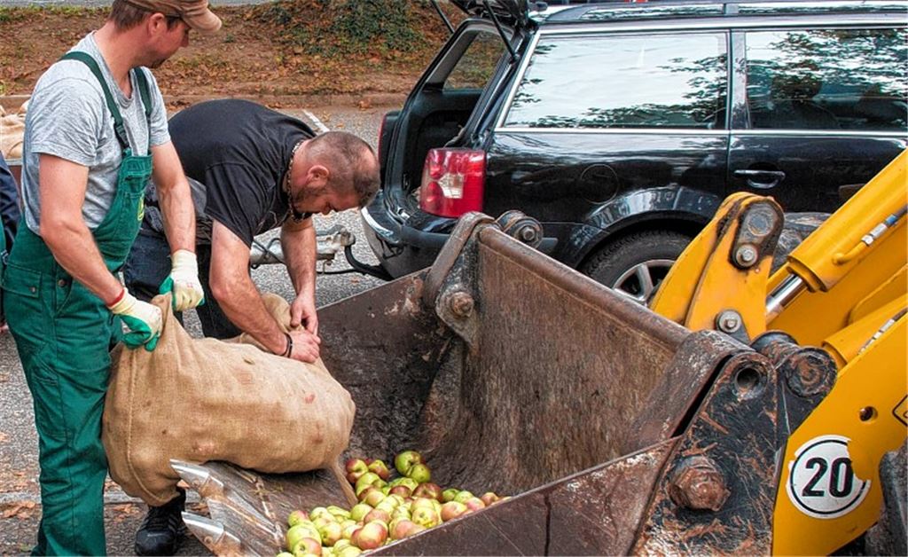 41 Tonnen Äpfel für den Erhalt von Obstwiesen