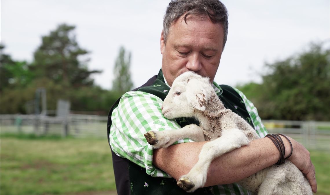 Torsten Steidel mit einem der Lämmer aus der Herde. Erst vor wenigen Wochen haben bisher unbekannte Täter 22 Jungtiere von der Weide gestohlen. Foto: Recken