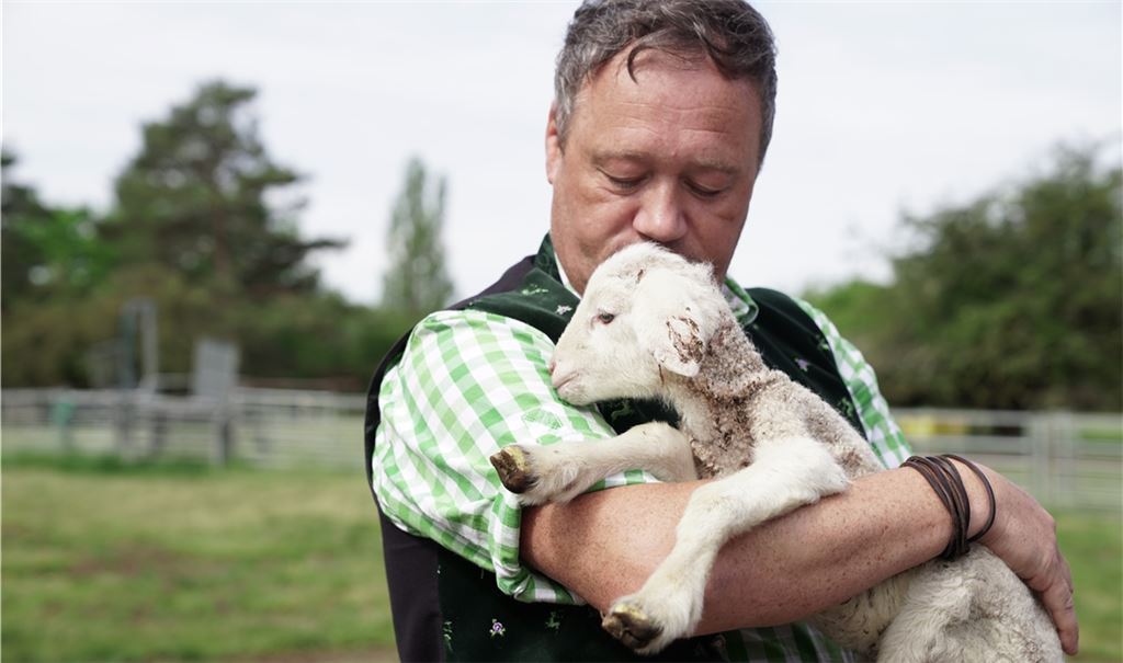 Torsten Steidel mit einem der Lämmer aus der Herde. Erst vor wenigen Wochen haben bisher unbekannte Täter 22 Jungtiere von der Weide gestohlen. Foto: Recken