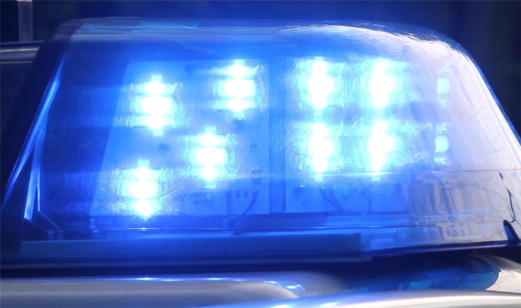Tote Person im Wald bei Keltern beschäftigt eine Sonderkommission. Symbolfoto: Archiv