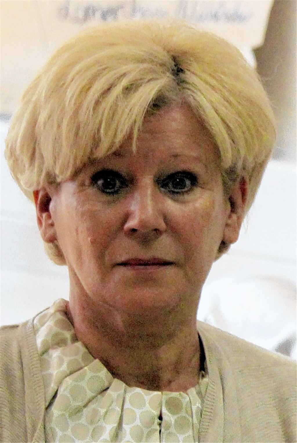 „Steine in den Weg“