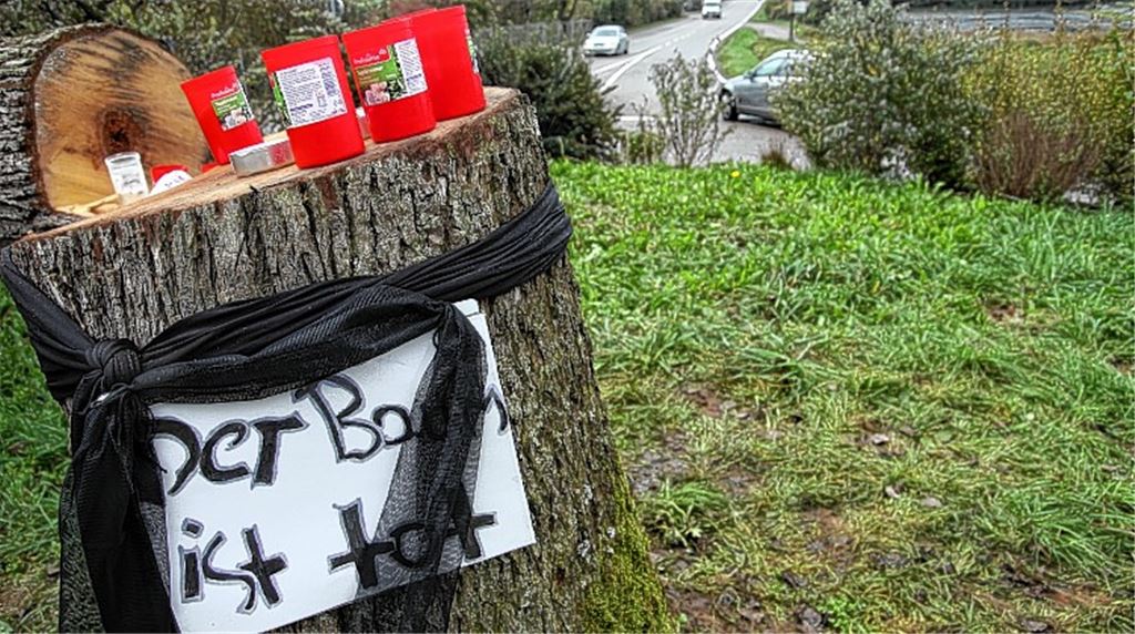 Trauer im Oktober 2014 – doch auch ohne den Anschlag wäre dem Lomersheimer Birnbaum nicht mehr viel Zeit geblieben. Der Petitionsausschuss gibt posthum dem Landratsamt recht.Archivfoto: Disselhoff