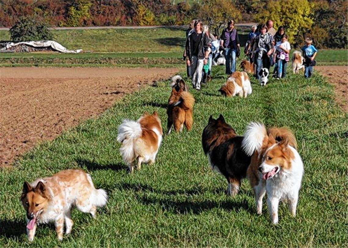 Treffen der Elo-Familie.