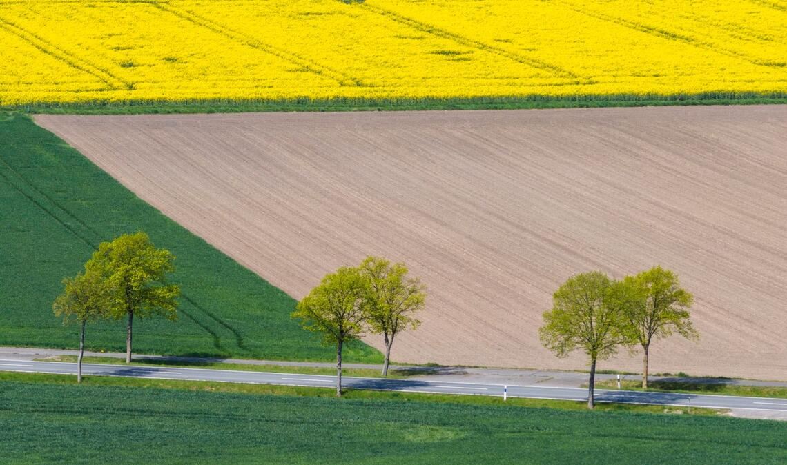Trockene Landschaft in Niedersachsen