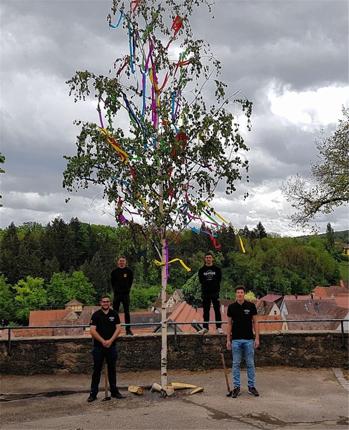 Maibaumstellen der etwas anderen Art