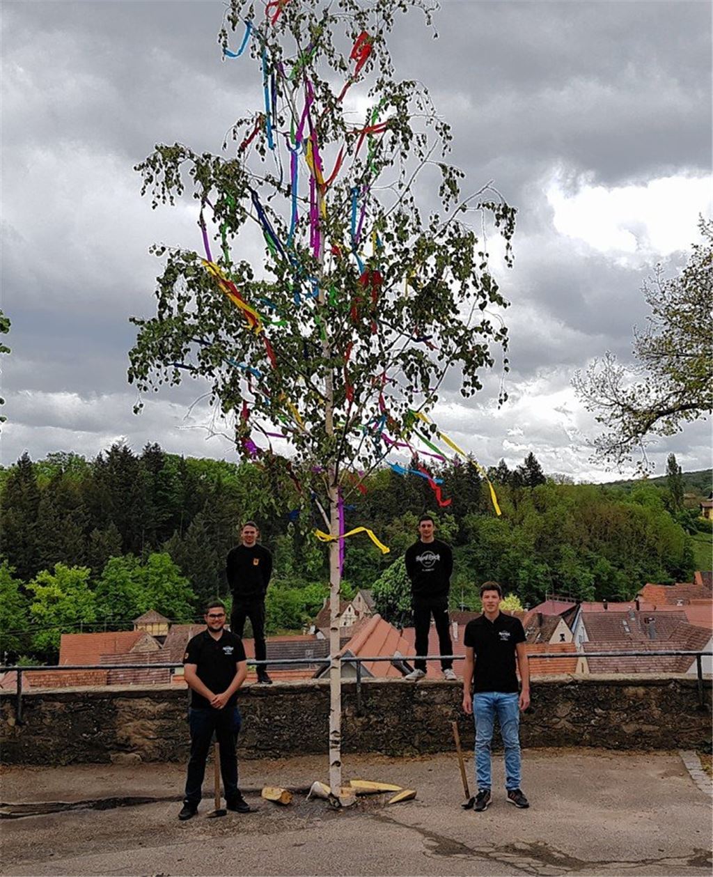Maibaumstellen der etwas anderen Art