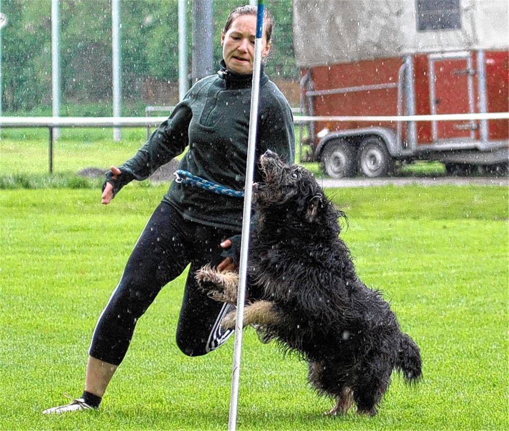 Trotz Regen und Kälte erzielen Julia Zimmermann mit Ares ihr bestes Ergebnis seit zwei Jahren. Foto: Heintel