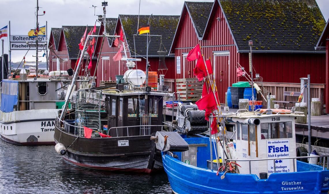 Trotz Sorgen um Dorsch und Hering: Für die deutschen Ostsee-Fischer bleibt fast alles beim Alten. (Symbolbild)