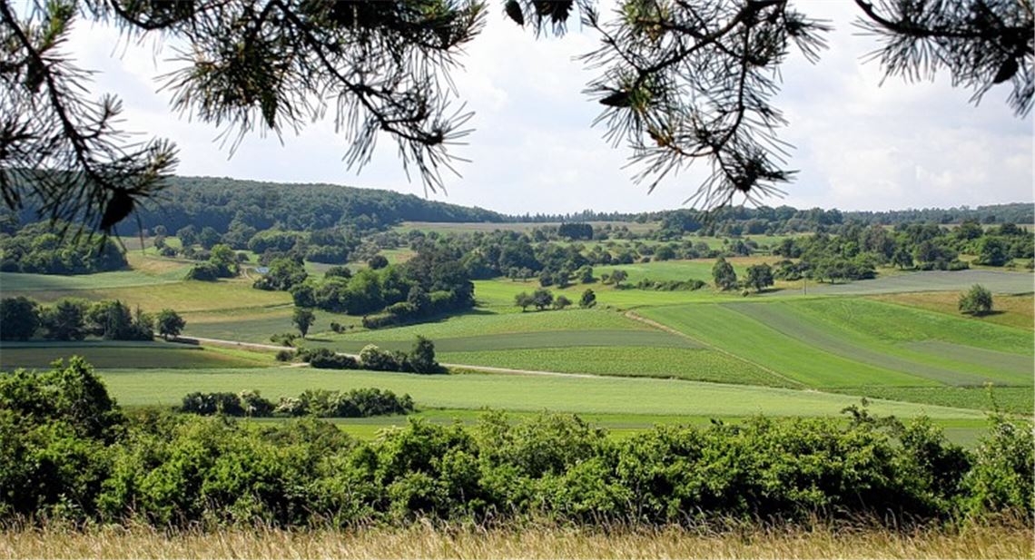 Trotz anhaltenden Siedlungsdrucks verfolgt die Regionalplanung im Nordschwarzwald restriktiv den Erhalt ursprünglicher Wald- und Feldfluren.