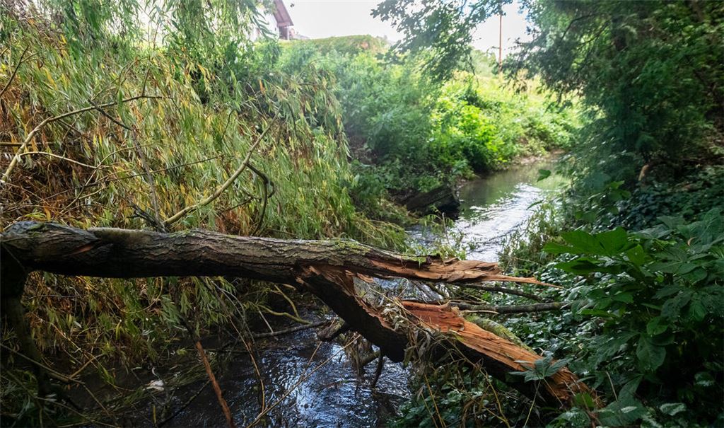 Trotz starker Regenfälle: Im Gegensatz zu Starkregenereignissen droht der Erlenbach entlang der Ötisheimer Straße im Brühl derzeit nicht über die Ufer zu treten. Foto: Fotomoment
