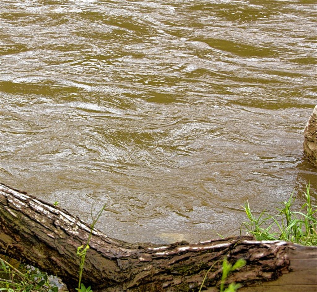 Tückische Strömung: Nach der Meldung, im Hochwasser der Enz treibe ein Mensch, sucht unter anderem ein Polizeihubschrauber mit Wärmebildkamera nach dem mutmaßlichen Opfer.