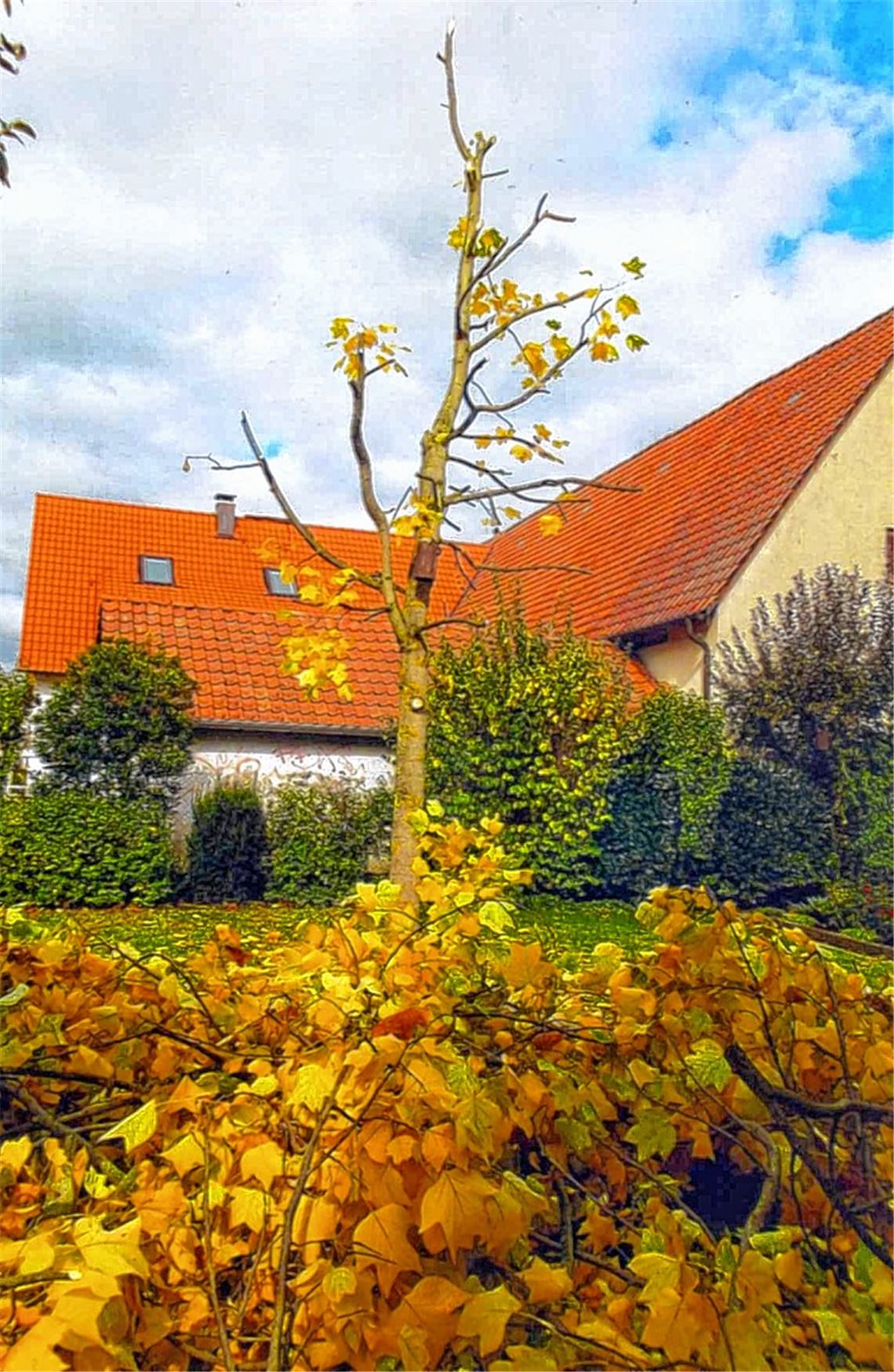 Herbstfarben