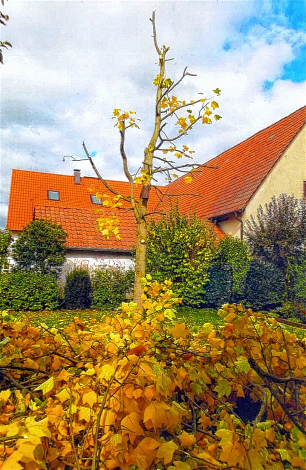 Herbstfarben
