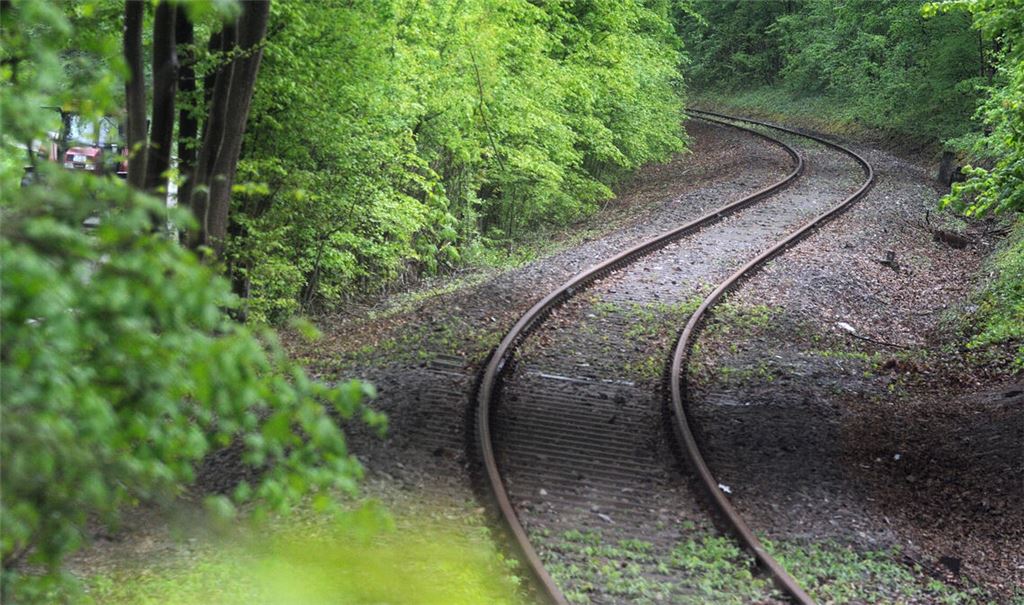 Tut sich da etwas? Nach der positiven Machbarkeitsstudie und der anschließenden Weichenstellung im Maulbronner Gemeinderat für eine Etablierung eines Bahnbetriebs auf dem Stichgleis hat sich in der Sache aus Sicht der Öffentlichkeit bisher nichts getan. Foto: Archiv