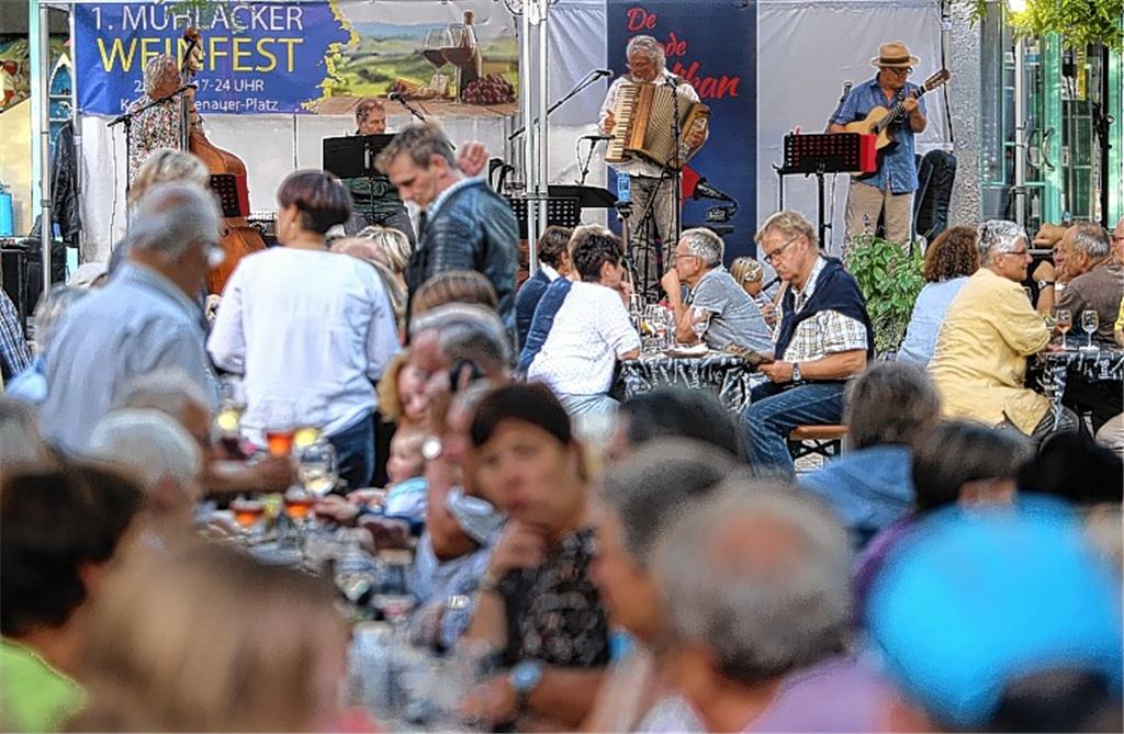 Mühlacker krönt Weinkönigin
