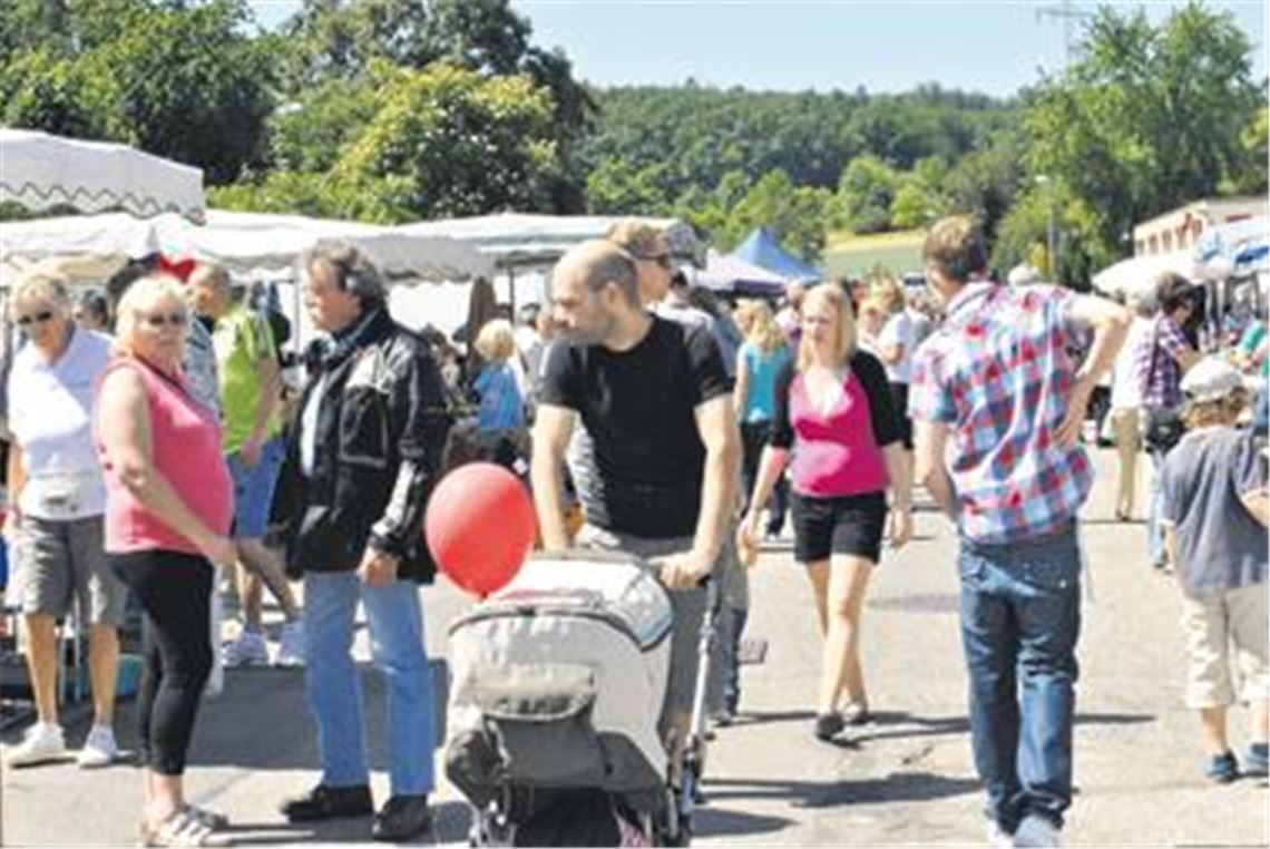 Über 7000 Besucher kommen zur Leistungsschau nach Wiernsheim, auf der 48 Aussteller ihre Kompetenz unter Beweis stellen. Für Werbung hat auch ein Fernseh-Beitrag über den Wersche-Streit gesorgt. 
Fotos: Stahlfeld