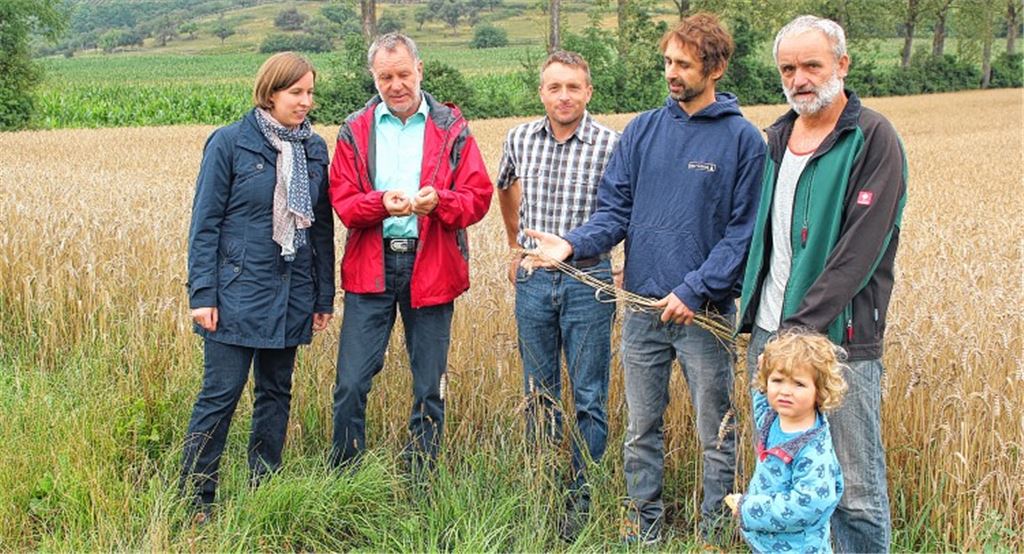 Frühe Ernte stellt Bauern vor Probleme