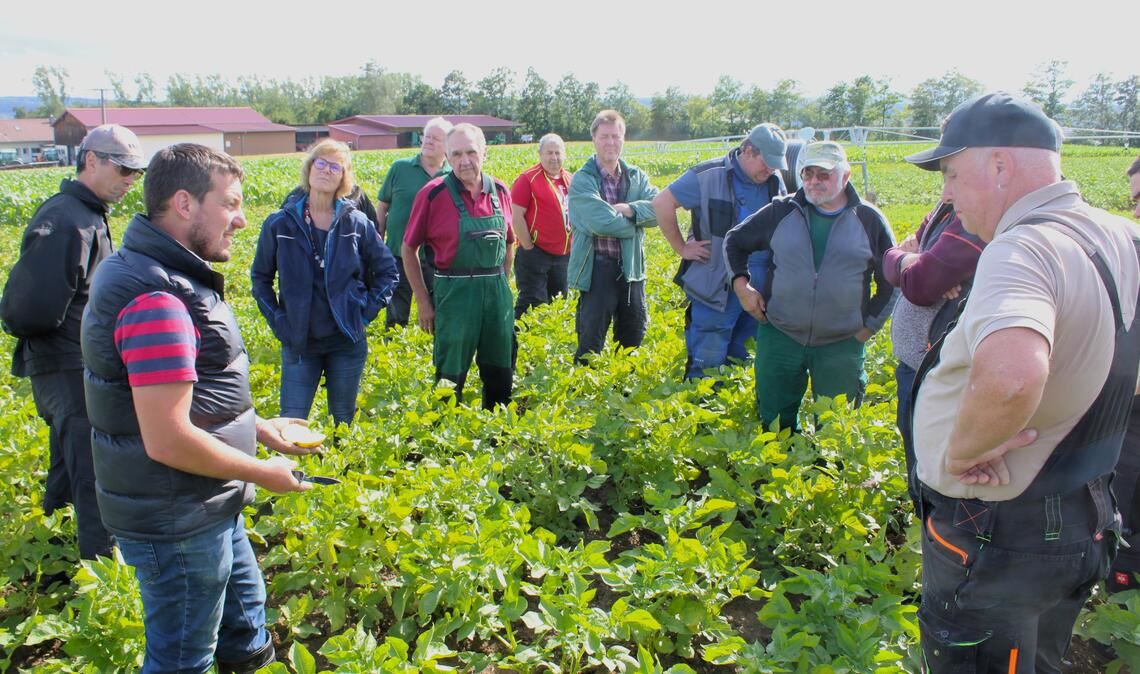 Über die aktuellen Herausforderungen im Kartoffelanbau tauschen sich Landwirte aus der Region zusammen mit Anbauberater Heiko Höllmüller (vorne links) auf den Feldern von Jürgen Böhmler in Friolzheim (vorne, Zweiter von rechts) aus. Foto: Zachmann