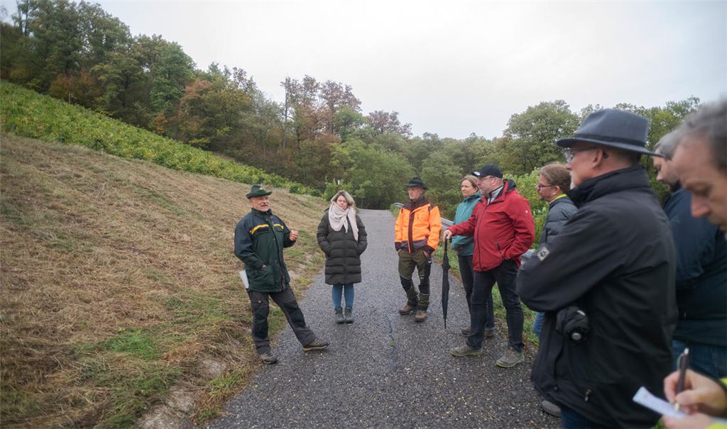 Über offene Weinbergflächen diskutieren Rolf Esslinger (v.li.), Antonia Walch, Andreas Roth und die Gemeinderäte. Foto: Fotomoment