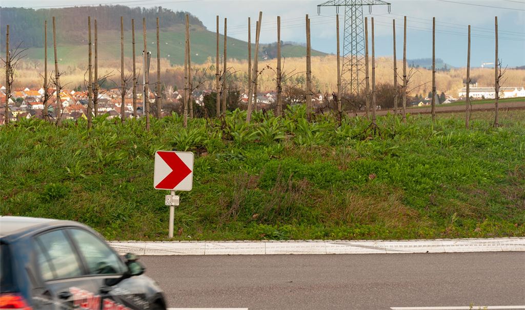 Umstrittene Grünpflege mit „verkümmerten Rebstöcken“: Die Gestaltung des Kreisverkehrs oberhalb der Mühlhäuser Steige liegt in der Zuständigkeit des Enzkreises. Foto: Fotomoment
