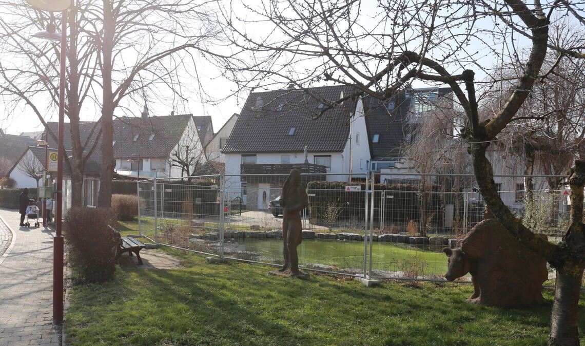 Umstrittener Zaun am Mühlteich: Als Dauerzustand ein Schandfleck? Foto: Wewoda