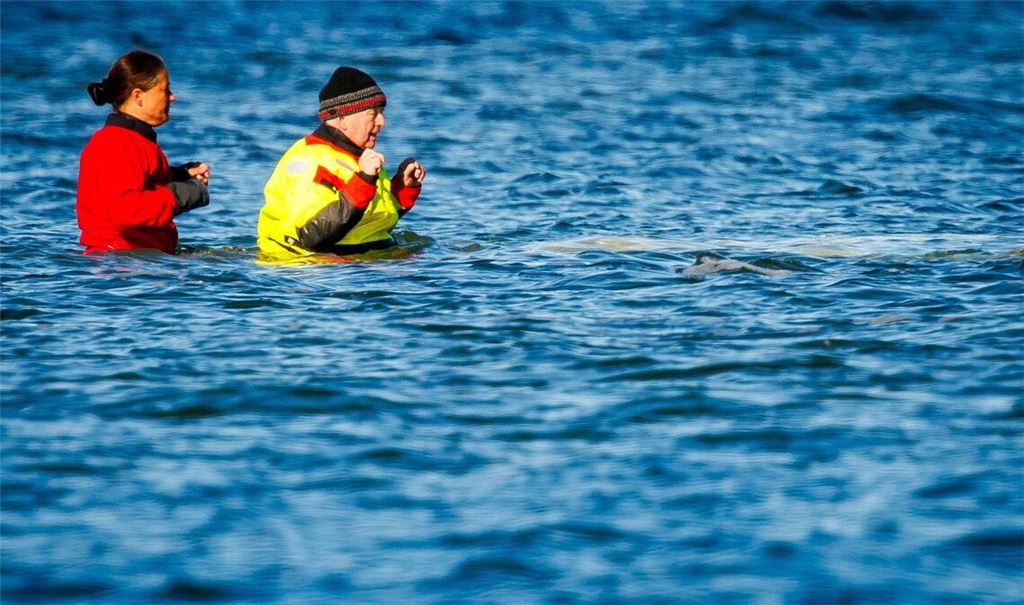 Umweltminister Till Backhaus war auch am Sonntag wieder direkt am Wal.