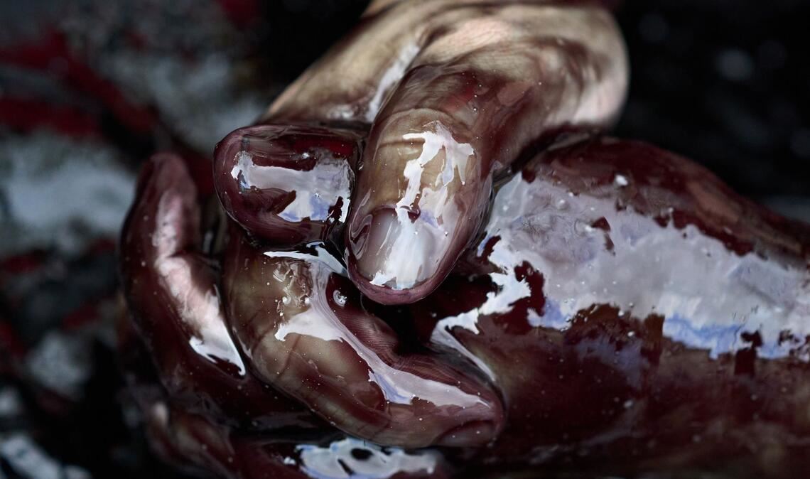 Umweltproteste in Den Haag: Die Hände eines Demonstranten sind mit Öl verschmiert, als er bei einer Demonstration der Extinction Rebellion eine Autobahn blockiert.