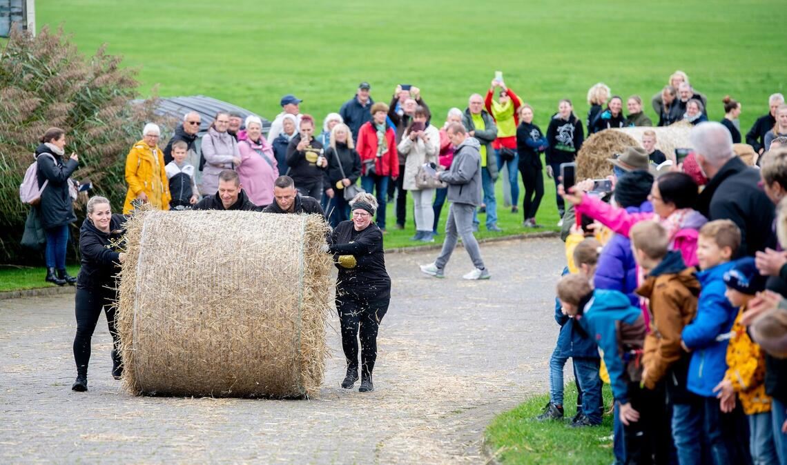 Bilder des Tages Und Action: Das Team "Die Strohstürmer" rollt bei der Strohballen-Rollmeisterschaft einen Strohballen den Deich hinauf.