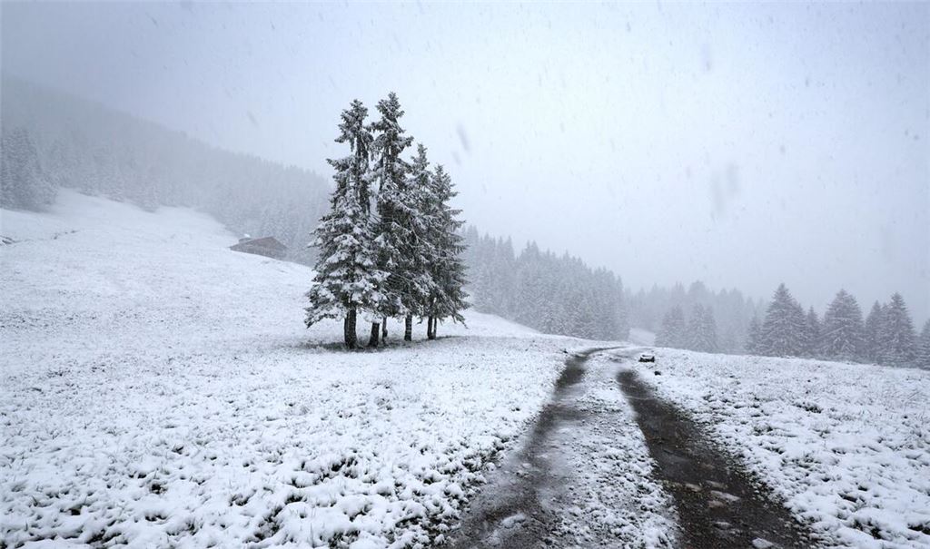 Und das im Wonnemonat Mai: Schneetreiben auf dem Riedbergpass beim bayerischen Obermaiselstein in rund 1200 Meter Höhe.