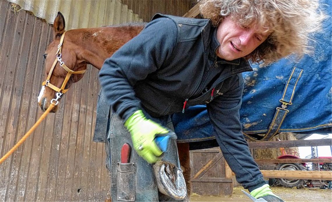 Und hoch das Beinchen: „Leicos“ weiß, dass Rainer May es gut meint mit seinen Hufen.