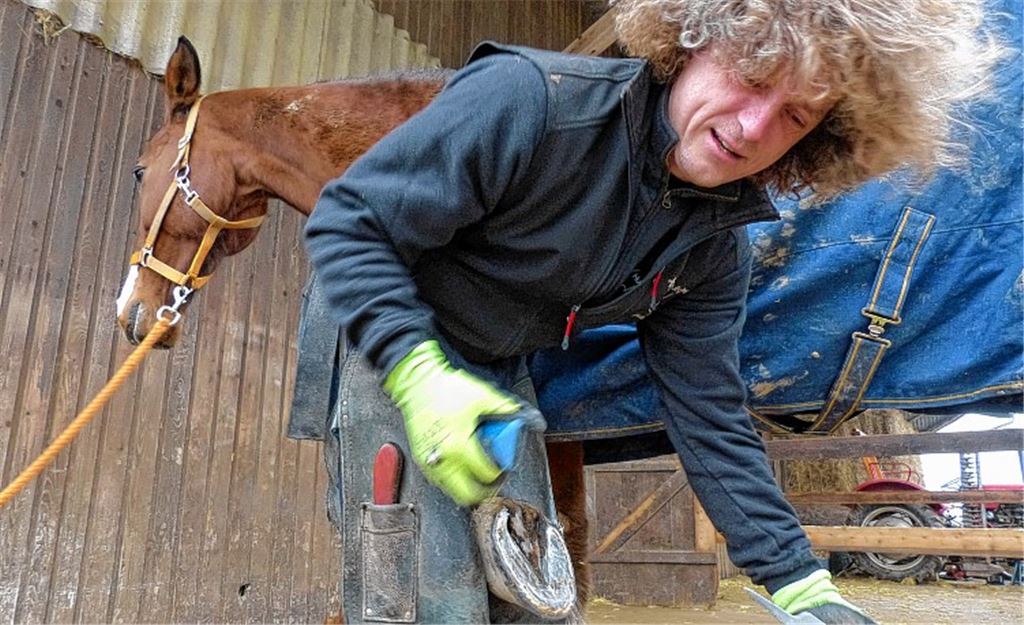 Und hoch das Beinchen: „Leicos“ weiß, dass Rainer May es gut meint mit seinen Hufen.