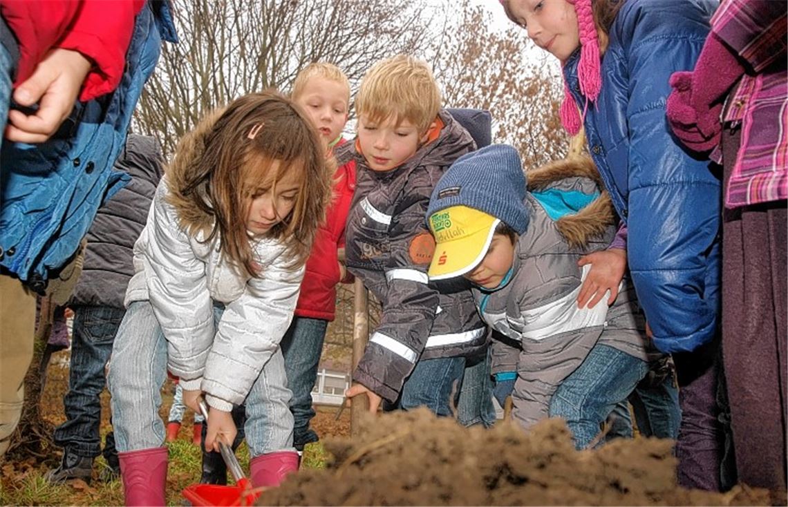 Und irgendwann wird das eigene Obst geerntet: Die Schüler der Heidenwäldle-Schule pflanzen sieben verschiedene Obstbäume.