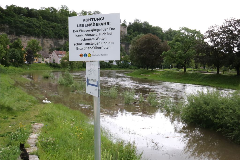 lh Dauerregen Enz Mühlacker (5)