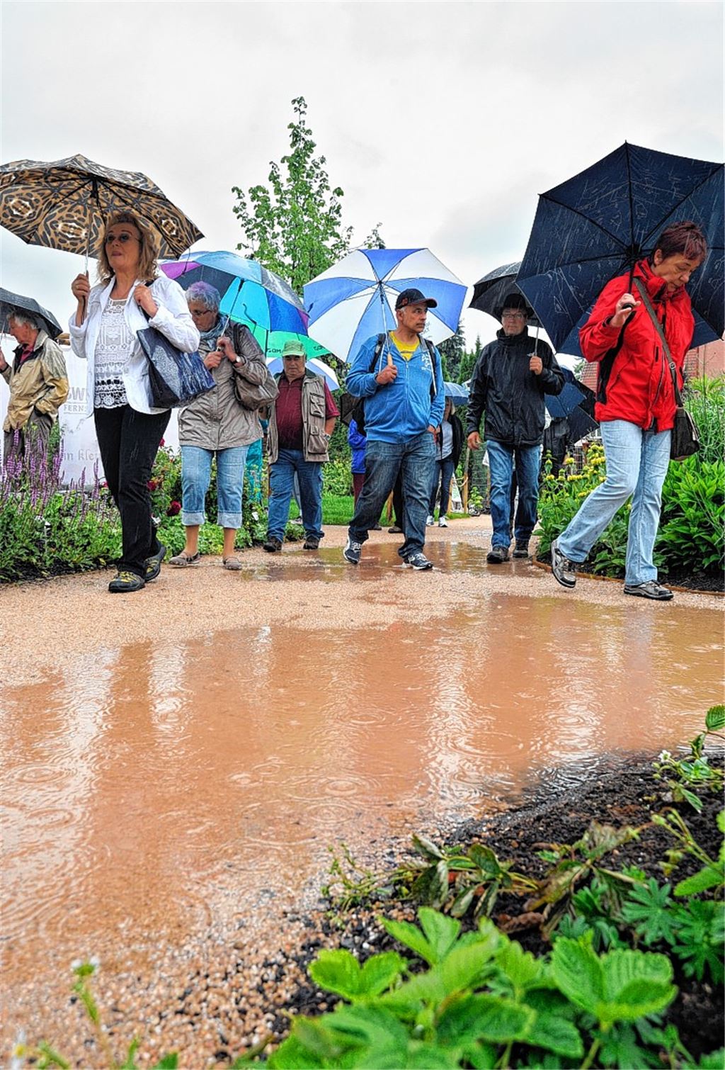 Unerschrockener Tross: Mit Regenschirm und der richtigen Einstellung gehen die Gewinner der Verlosungsaktion unserer Zeitung in den Enzgärten auf Entdeckungsreise.
