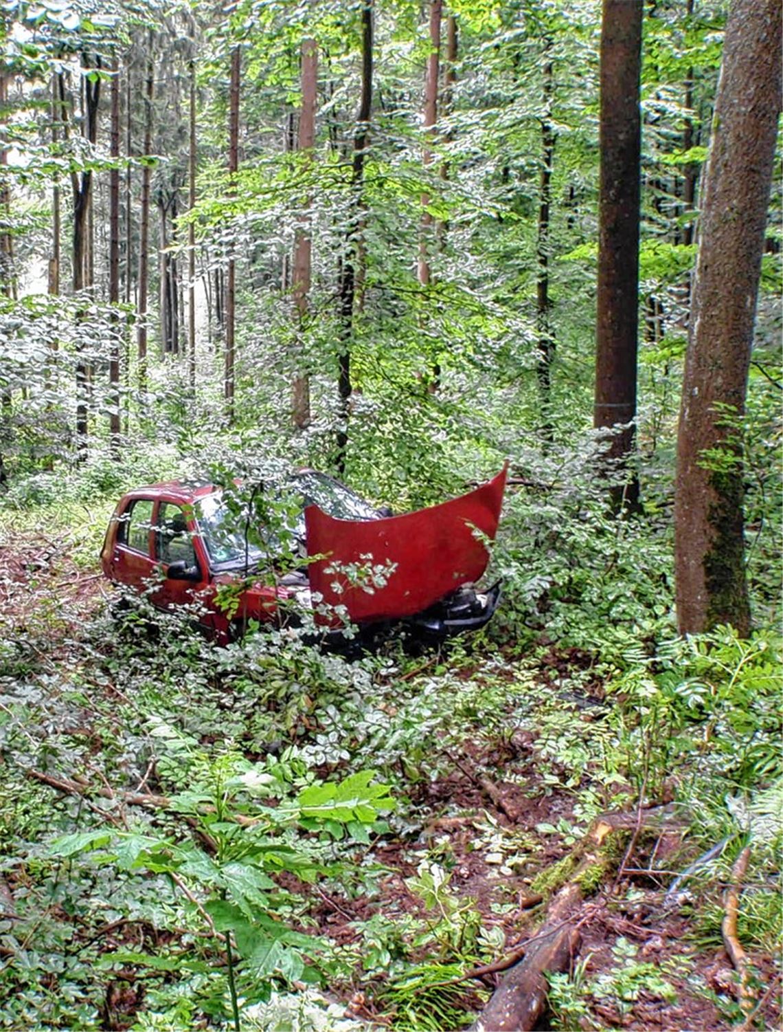 Unfallort Plattenwald: Der Wagen der 21-Jährigen, die am Montagmorgen bei der Fahrt in Richtung Pinache verunglückt ist.