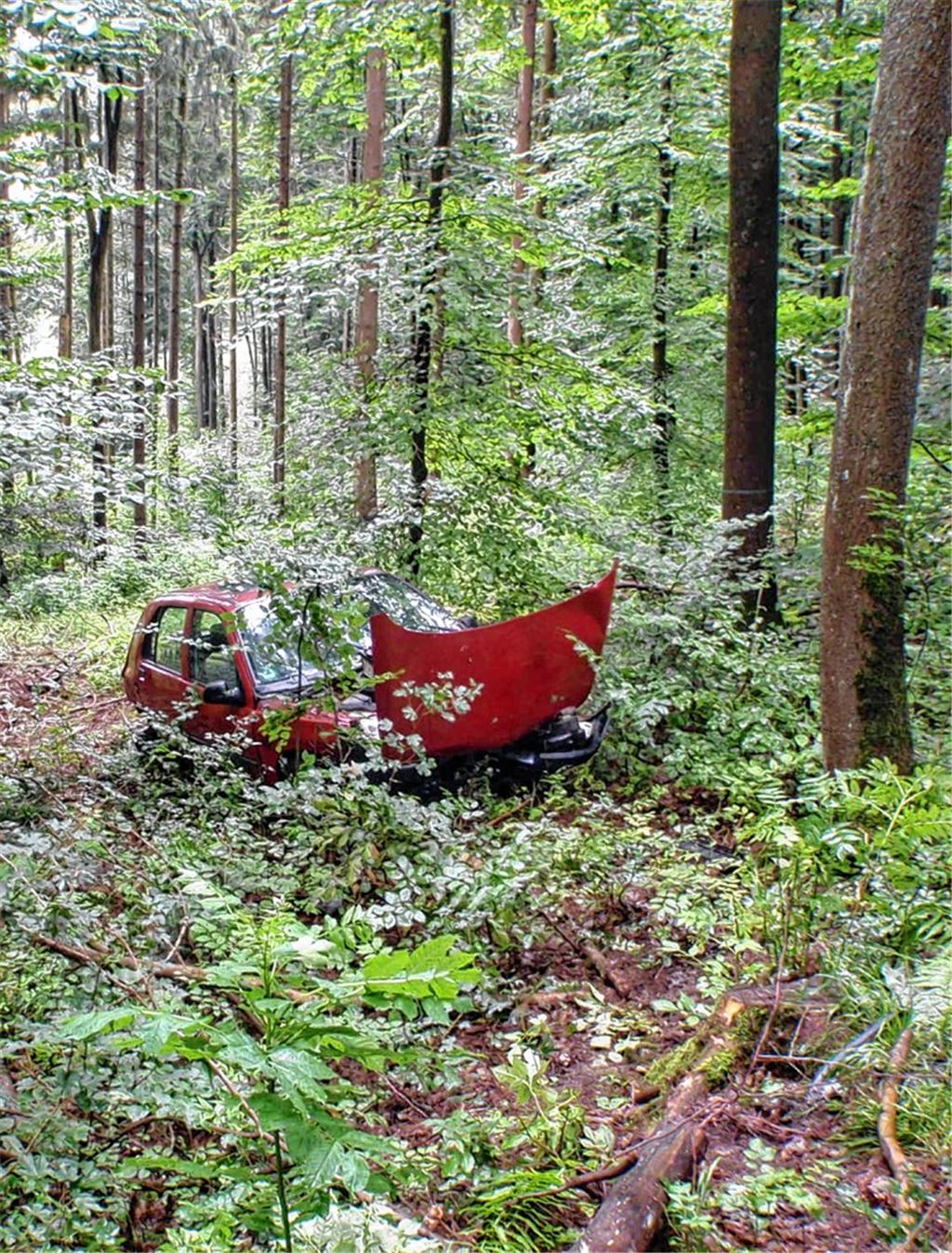 Unfallort Plattenwald: Der Wagen der 21-Jährigen, die am Montagmorgen bei der Fahrt in Richtung Pinache verunglückt ist.