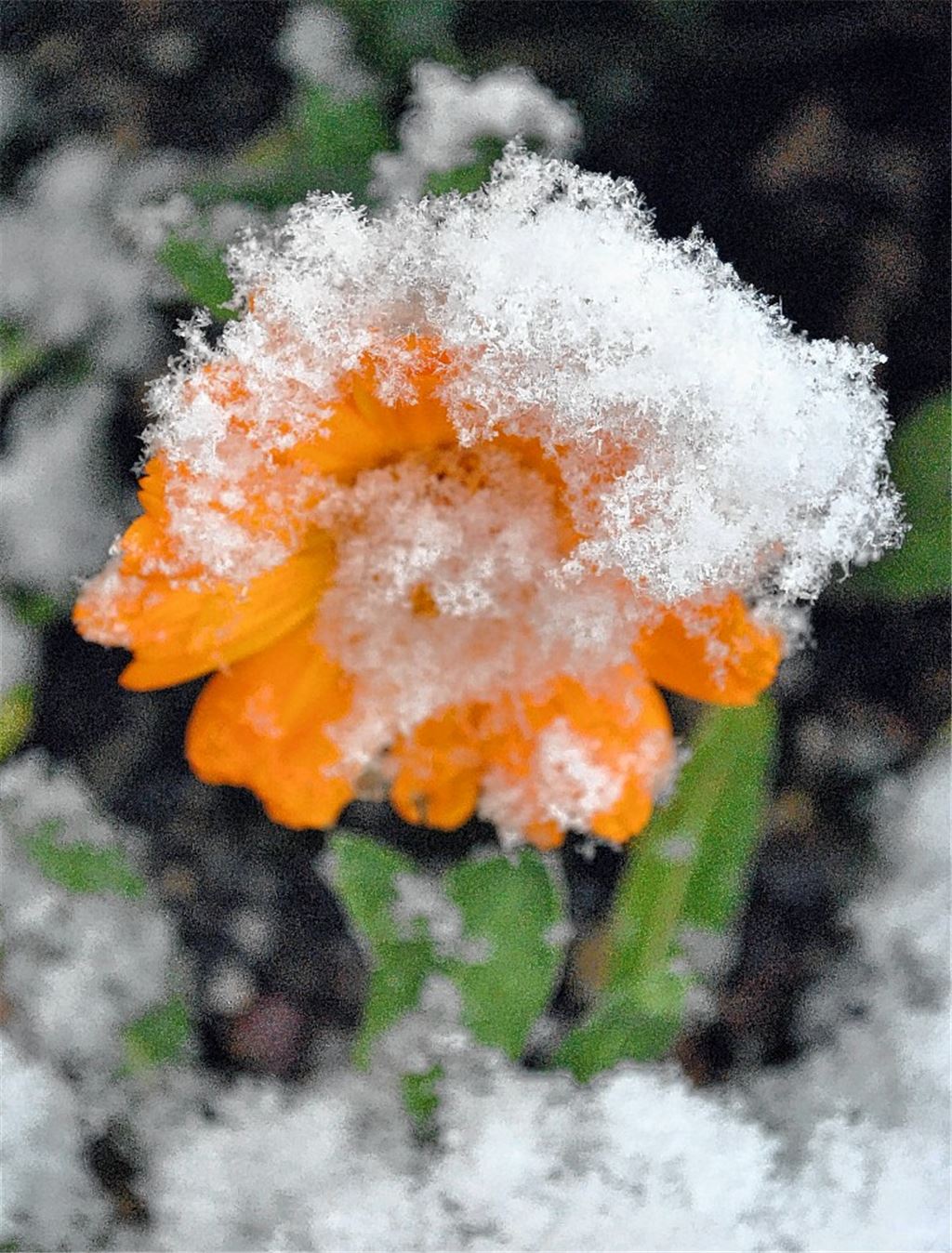 Kinder freuen sich über ersten Schnee