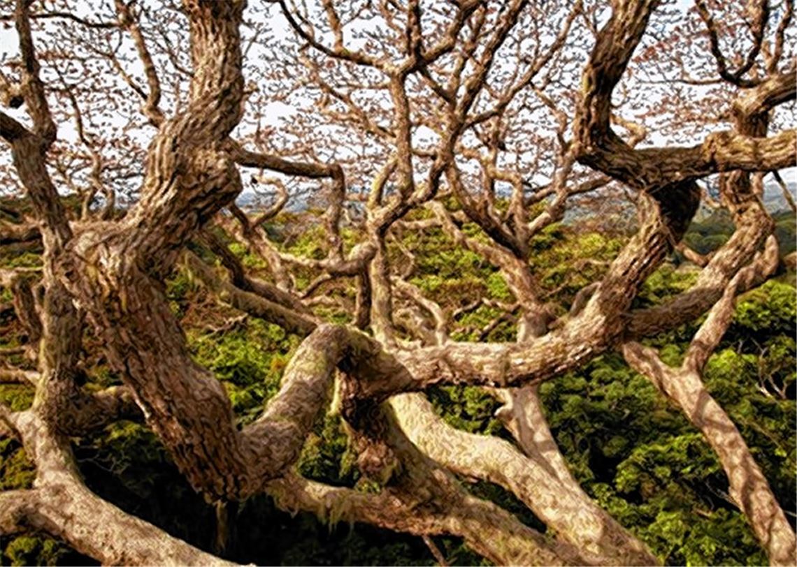 Ungewöhnliche Bilder.