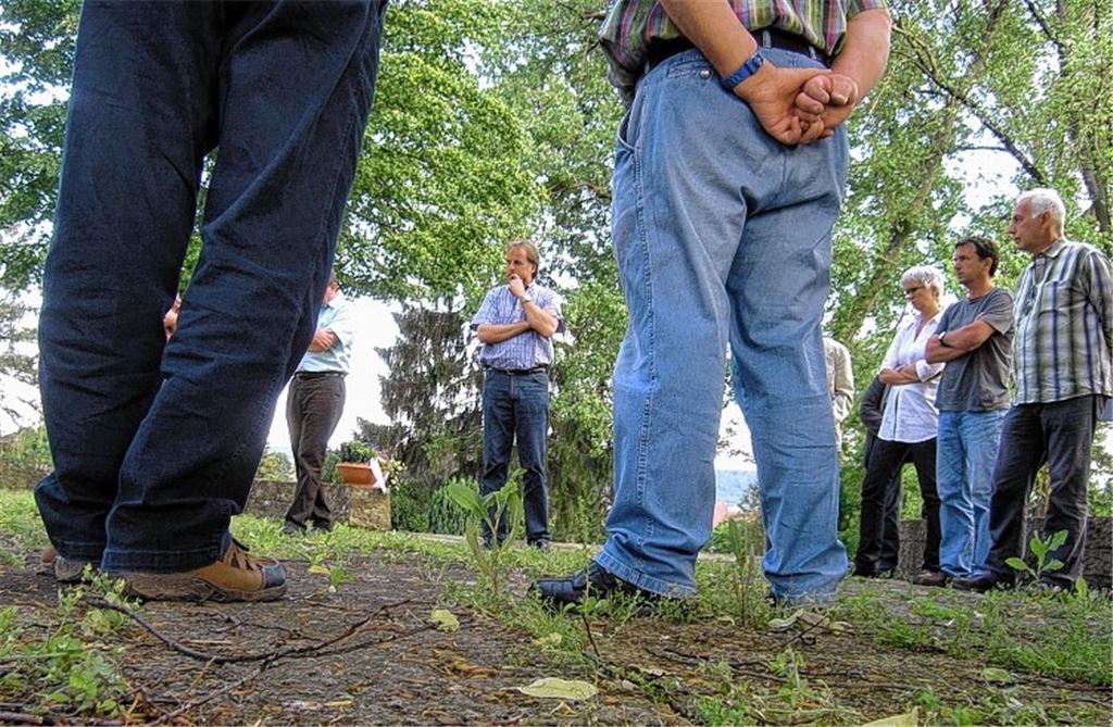 Unkraut zu Füßen der Stadträte.
