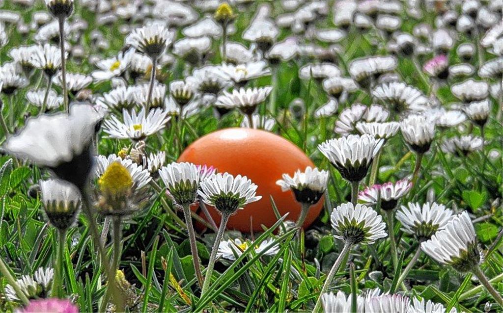 „Da weiß man, wie der Hase läuft“